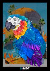 Wilflex™ Epic Rio RFU Standard Colors - Parrot Print